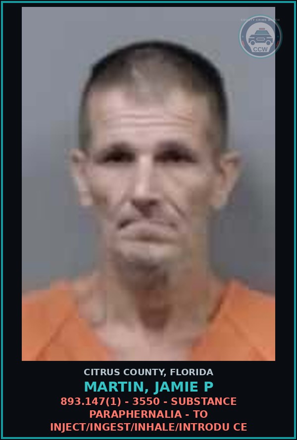 Booking mugshot of Martin, Jamie P in Citrus County