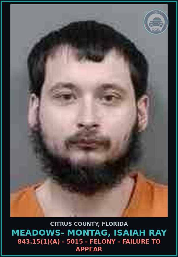 Booking mugshot of MEADOWS- MONTAG, ISAIAH RAY in Citrus County
