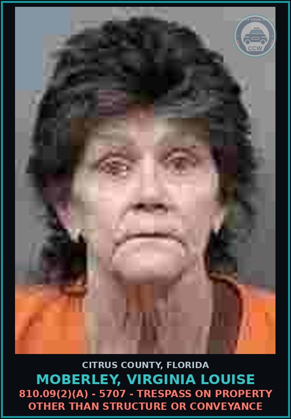 Booking mugshot of MOBERLEY, VIRGINIA LOUISE in Citrus County