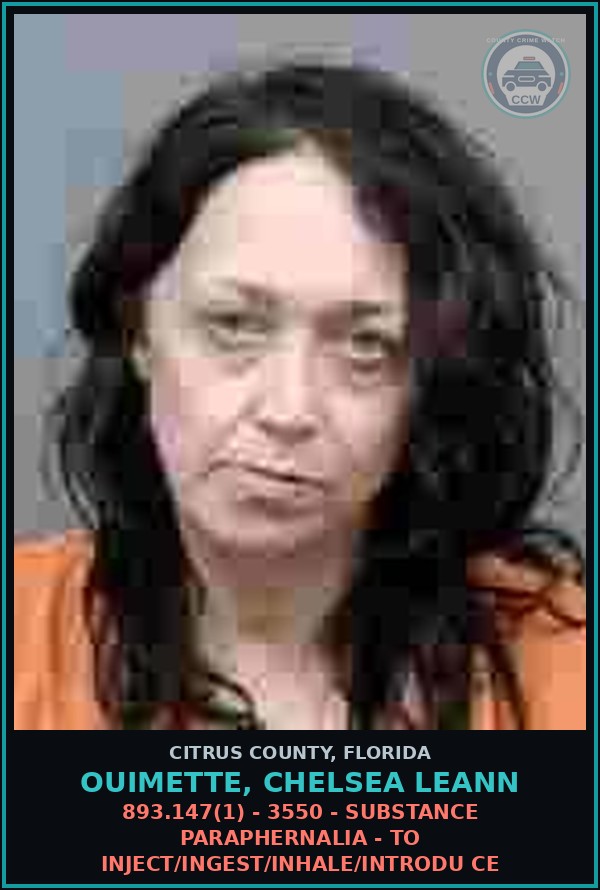 Booking mugshot of OUIMETTE, CHELSEA LEANN in Citrus County