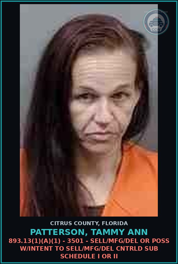 Booking mugshot of PATTERSON, TAMMY ANN in Citrus County