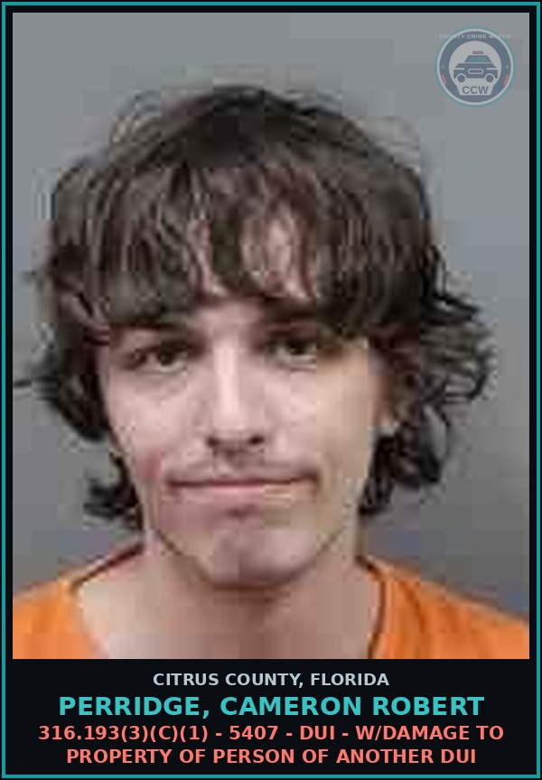 Booking mugshot of PERRIDGE, CAMERON ROBERT in Citrus County