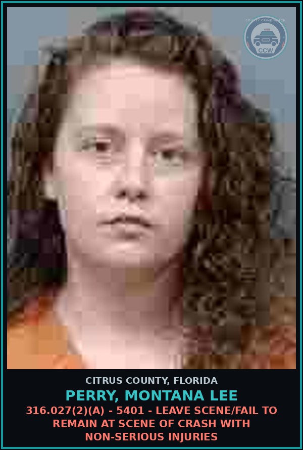 Booking mugshot of PERRY, MONTANA LEE in Citrus County