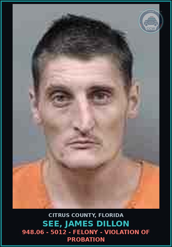 Booking mugshot of SEE, JAMES DILLON in Citrus County