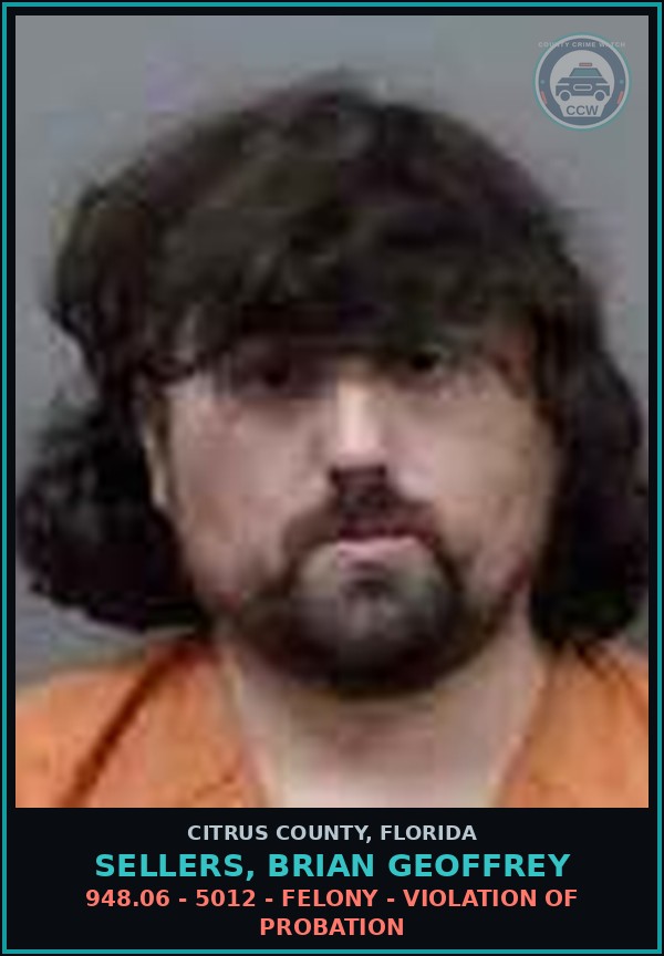 Booking mugshot of Sellers, Brian Geoffrey in Citrus County