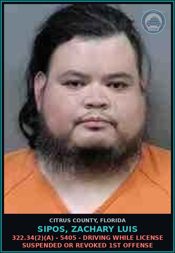 Booking mugshot of SIPOS, ZACHARY LUIS in Citrus County