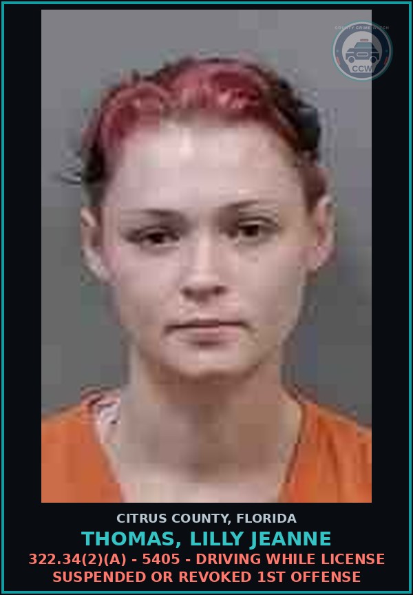 Booking mugshot of THOMAS, LILLY JEANNE in Citrus County