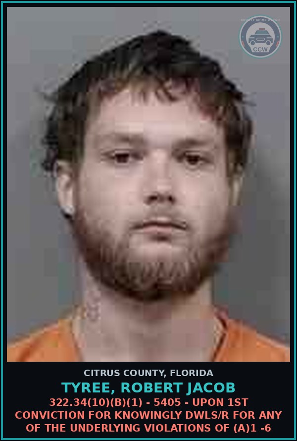 Booking mugshot of TYREE, ROBERT JACOB in Citrus County