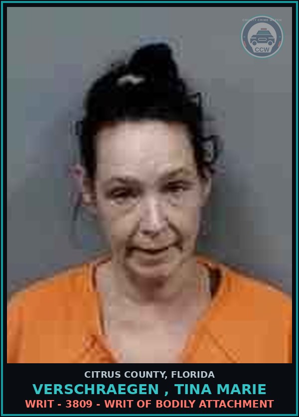 Booking mugshot of VERSCHRAEGEN , TINA MARIE in Citrus County