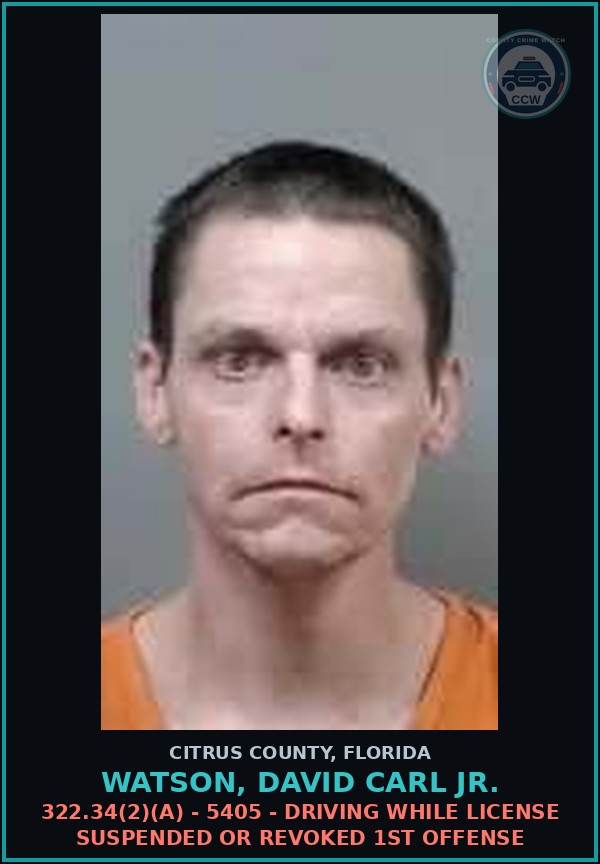 Booking mugshot of Watson, David Carl Jr. in Citrus County