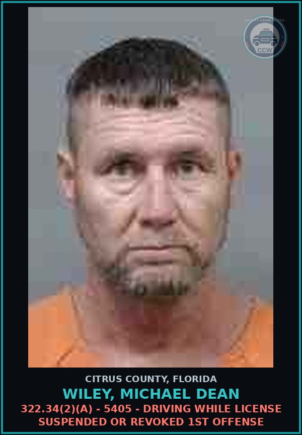 Booking mugshot of WILEY, MICHAEL DEAN in Citrus County