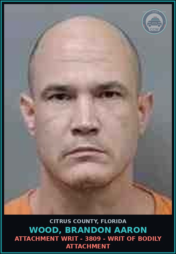 Booking mugshot of WOOD, BRANDON AARON in Citrus County