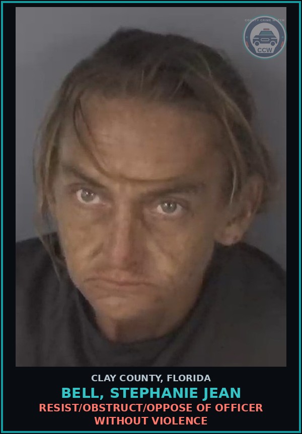 Booking mugshot of BELL, STEPHANIE JEAN in Clay County