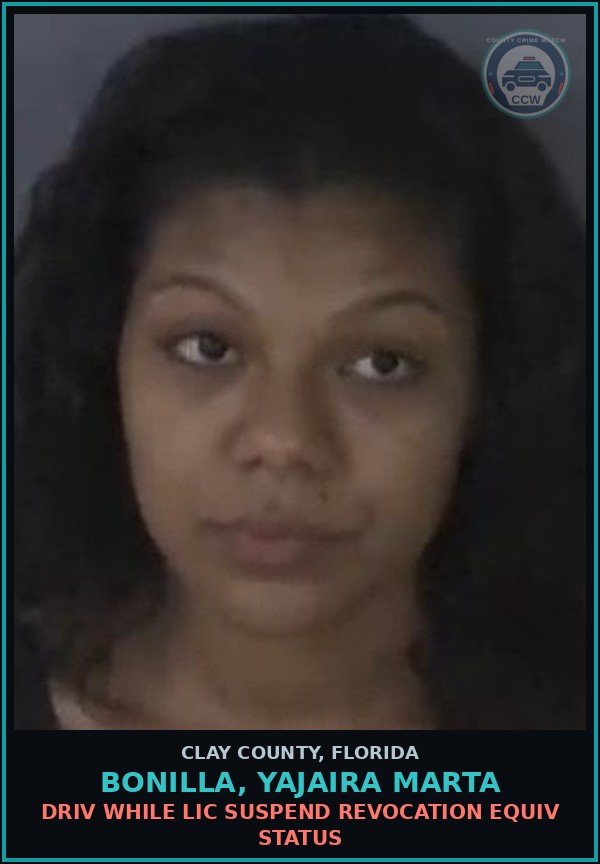 Booking mugshot of BONILLA, YAJAIRA MARTA in Clay County