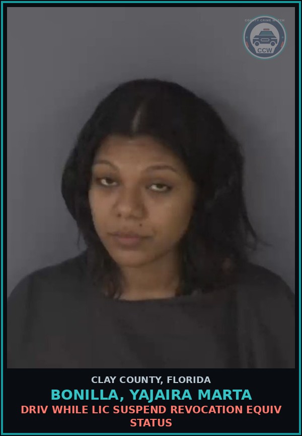 Booking mugshot of BONILLA, YAJAIRA MARTA in Clay County