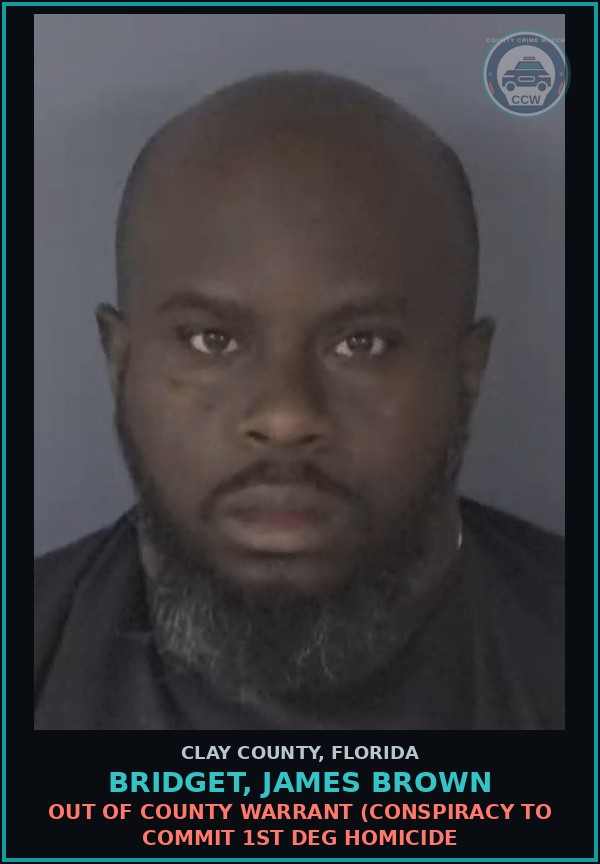 Booking mugshot of BRIDGET, JAMES BROWN in Clay County