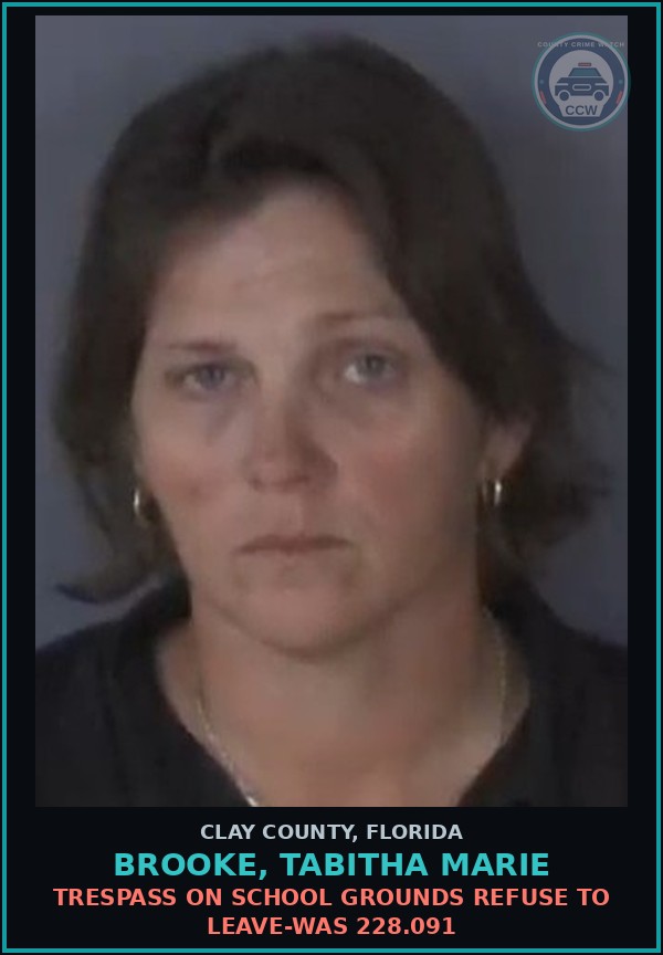 Booking mugshot of BROOKE, TABITHA MARIE in Clay County