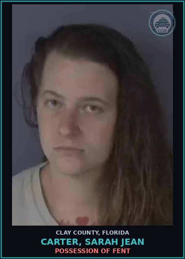 Booking mugshot of CARTER, SARAH JEAN in Clay County