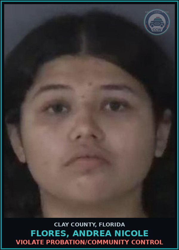 Booking mugshot of FLORES, ANDREA NICOLE in Clay County