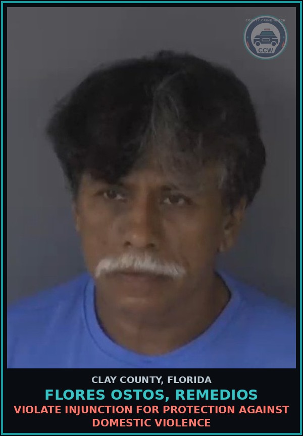 Booking mugshot of FLORES OSTOS, REMEDIOS in Clay County
