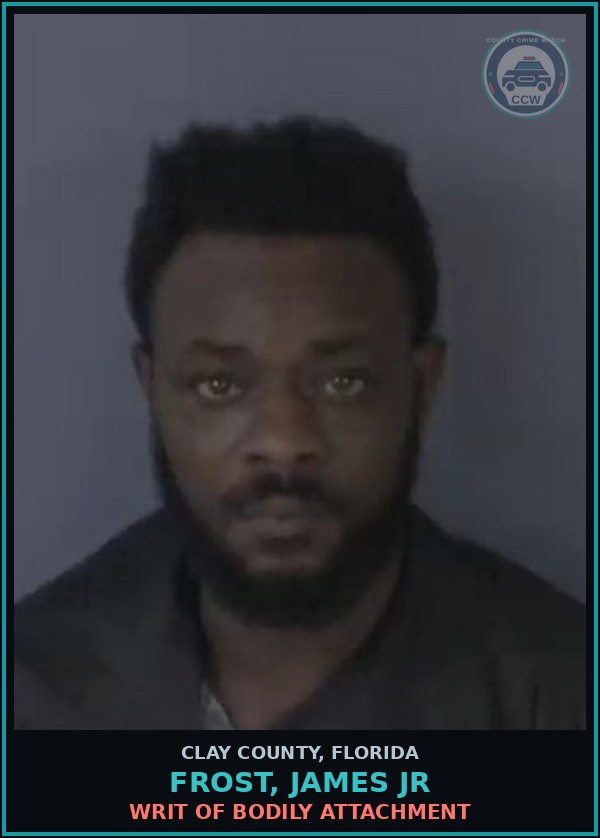 Booking mugshot of FROST, JAMES JR in Clay County