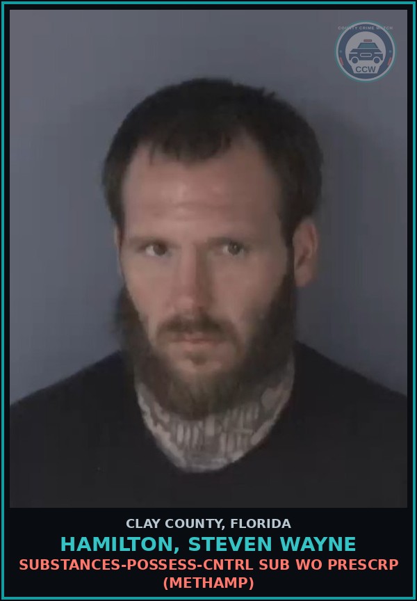Booking mugshot of HAMILTON, STEVEN WAYNE in Clay County