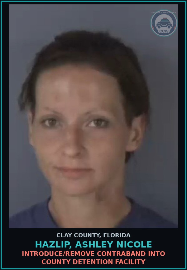 Booking mugshot of HAZLIP, ASHLEY NICOLE in Clay County