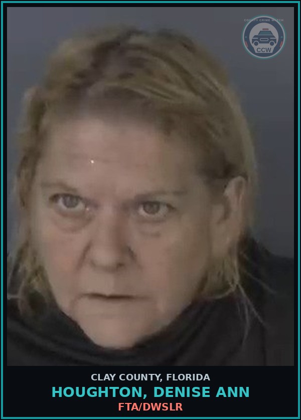 Booking mugshot of HOUGHTON, DENISE ANN in Clay County
