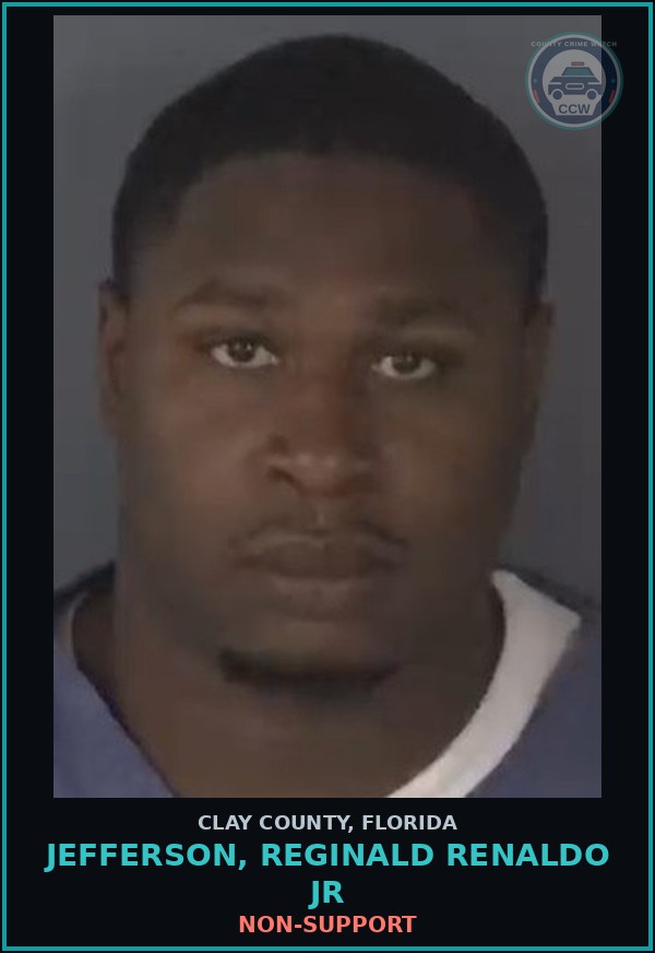 Booking mugshot of JEFFERSON, REGINALD RENALDO JR in Clay County