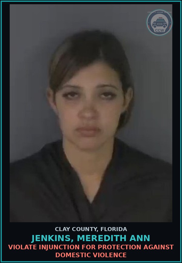 Booking mugshot of JENKINS, MEREDITH ANN in Clay County