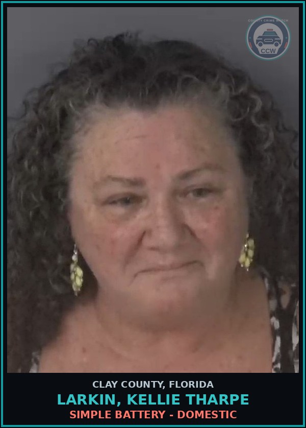 Booking mugshot of LARKIN, KELLIE THARPE in Clay County