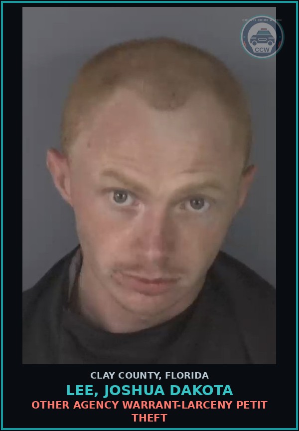 Booking mugshot of LEE, JOSHUA DAKOTA in Clay County