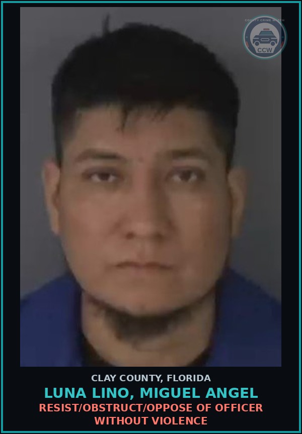 Booking mugshot of LUNA LINO, MIGUEL ANGEL in Clay County