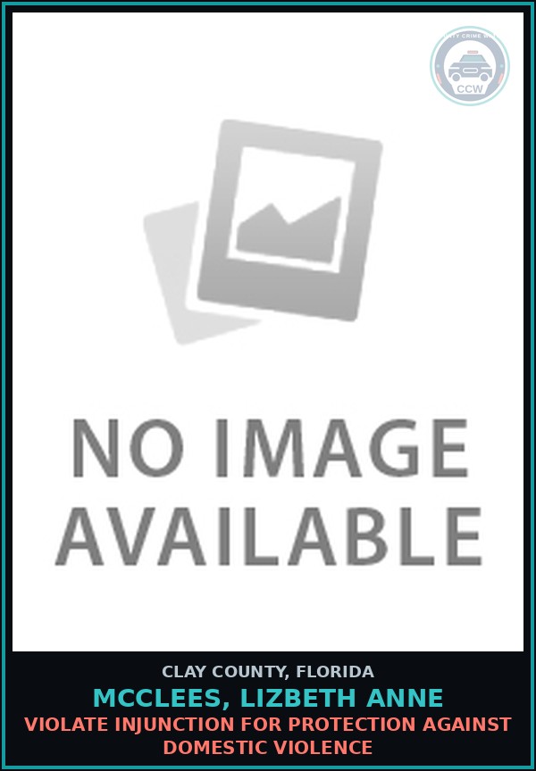 Booking mugshot of MCCLEES, LIZBETH ANNE in Clay County