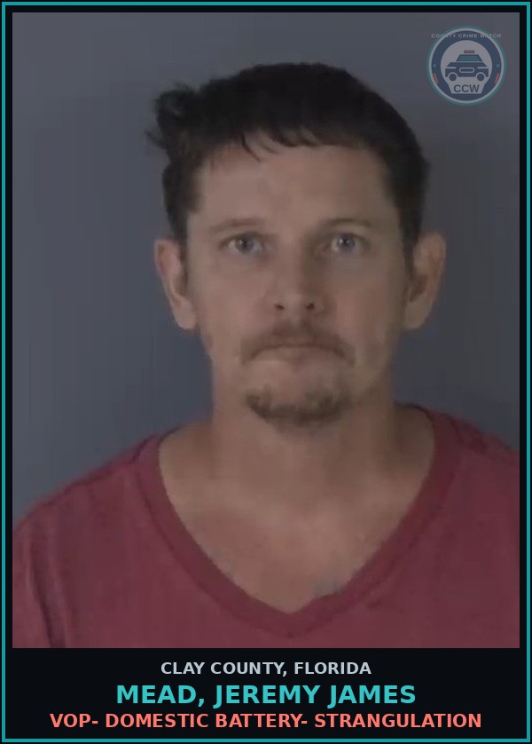 Booking mugshot of MEAD, JEREMY JAMES in Clay County