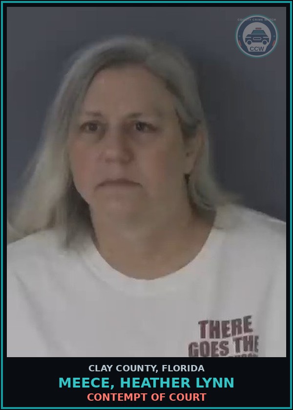 Booking mugshot of MEECE, HEATHER LYNN in Clay County