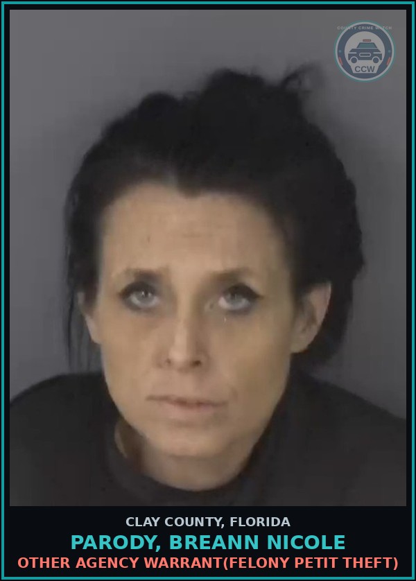 Booking mugshot of PARODY, BREANN NICOLE in Clay County