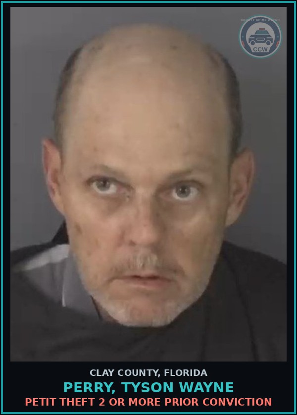 Booking mugshot of PERRY, TYSON WAYNE in Clay County