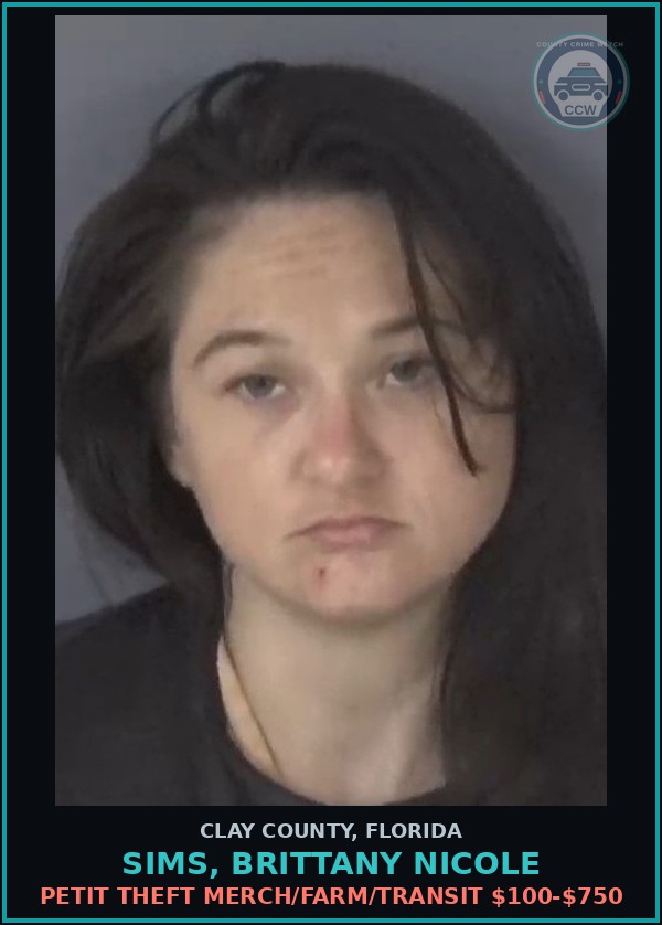 Booking mugshot of SIMS, BRITTANY NICOLE in Clay County