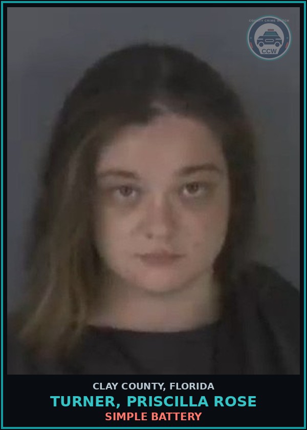 Booking mugshot of TURNER, PRISCILLA ROSE in Clay County