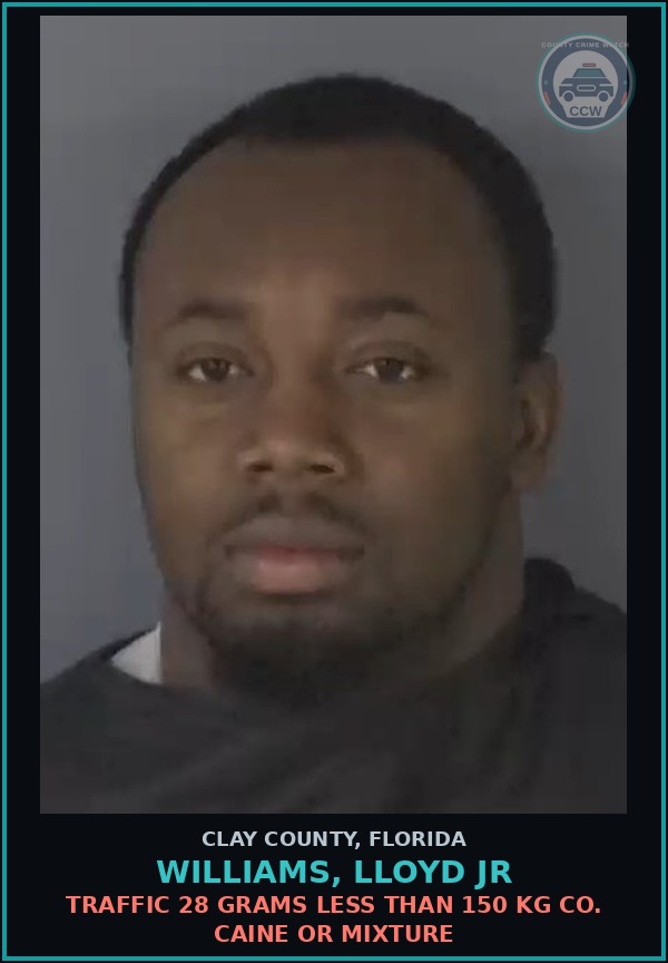 Booking mugshot of WILLIAMS, LLOYD JR in Clay County
