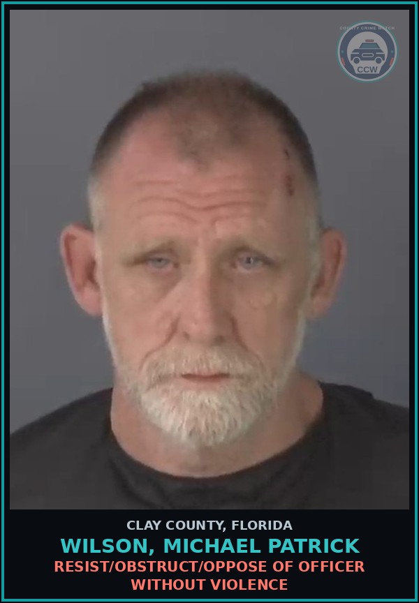 Booking mugshot of WILSON, MICHAEL PATRICK in Clay County