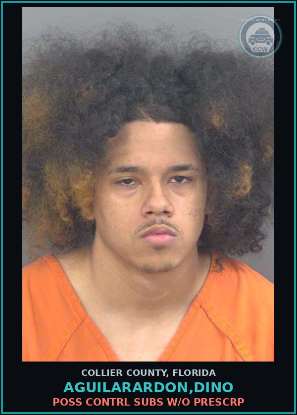 Booking mugshot of AGUILARARDON,DINO in Collier County