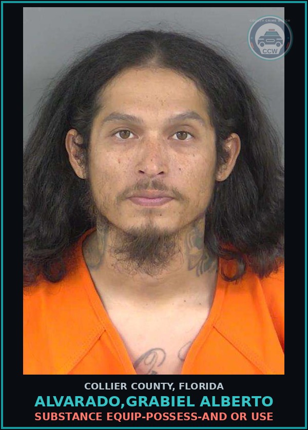 Booking mugshot of ALVARADO,GRABIEL ALBERTO in Collier County