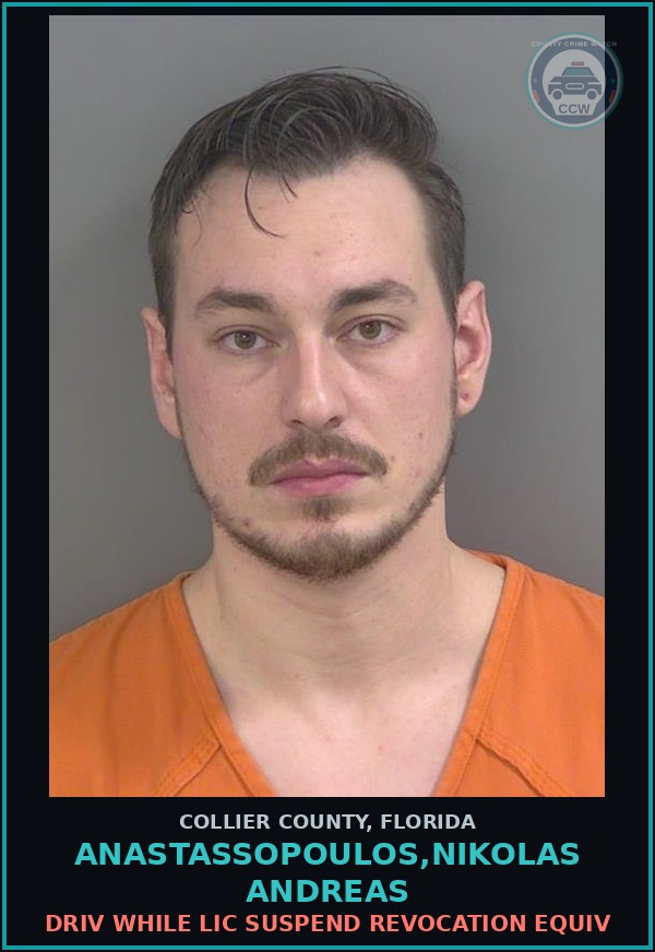 Booking mugshot of ANASTASSOPOULOS,NIKOLAS ANDREAS in Collier County