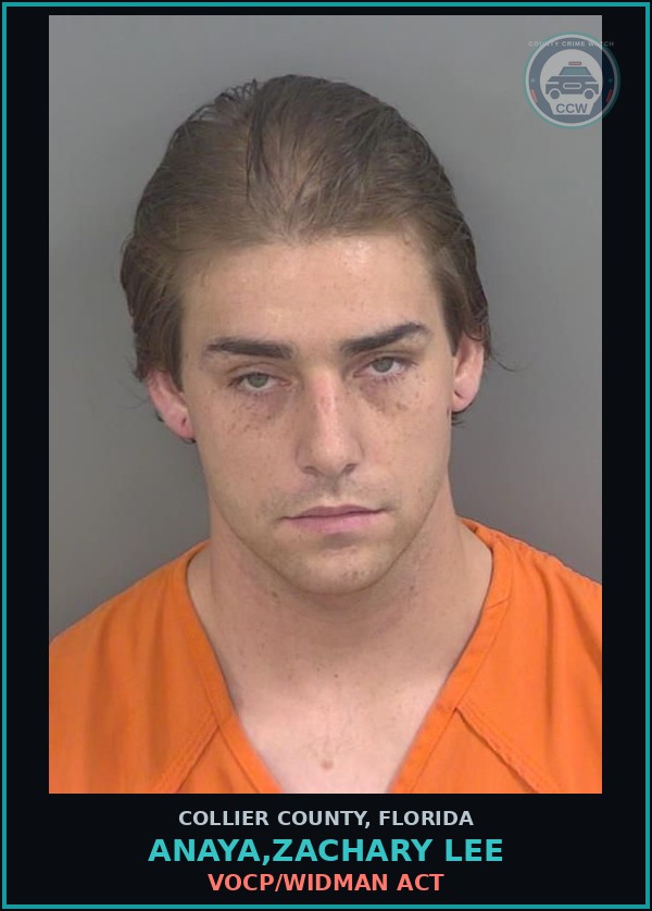 Booking mugshot of ANAYA,ZACHARY LEE in Collier County