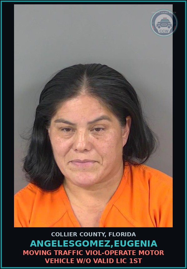 Booking mugshot of ANGELESGOMEZ,EUGENIA in Collier County