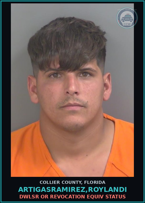Booking mugshot of ARTIGASRAMIREZ,ROYLANDI in Collier County