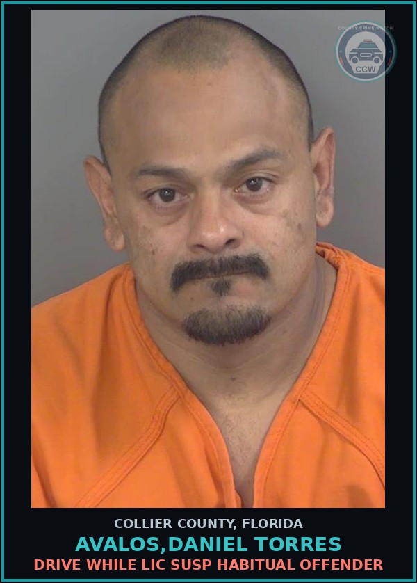 Booking mugshot of AVALOS,DANIEL TORRES in Collier County