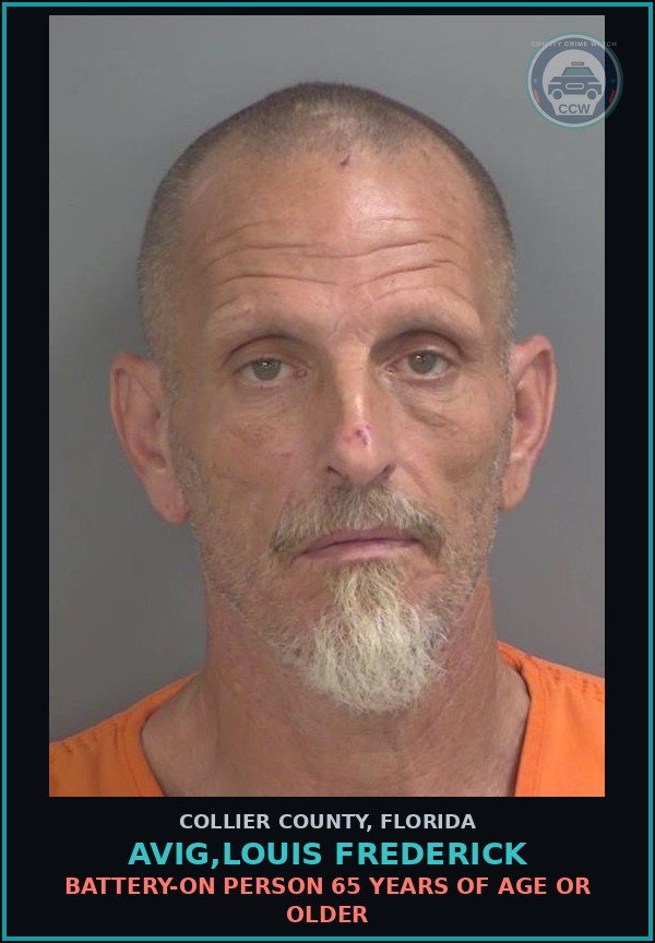 Booking mugshot of AVIG,LOUIS FREDERICK in Collier County